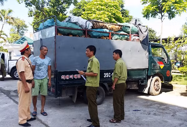 Xe ôtô chở xương động vật bị Cảnh sát giao thông tạm giữ. Ảnh: Lê Dương. Xe ôtô chở xương động vật bị Cảnh sát giao thông tạm giữ. Ảnh: Lê Dương.