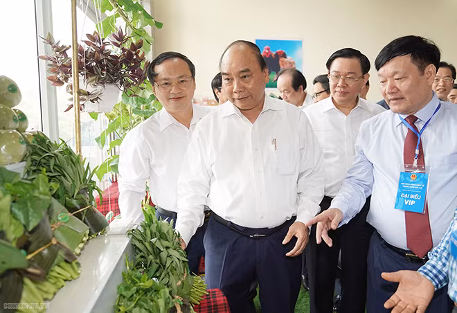 Thủ tướng và các đại biểu tham quan khu trưng bày các sản phẩm đặc trưng của khu vực Bắc Bộ. Ảnh VGP/Quang Hiếu