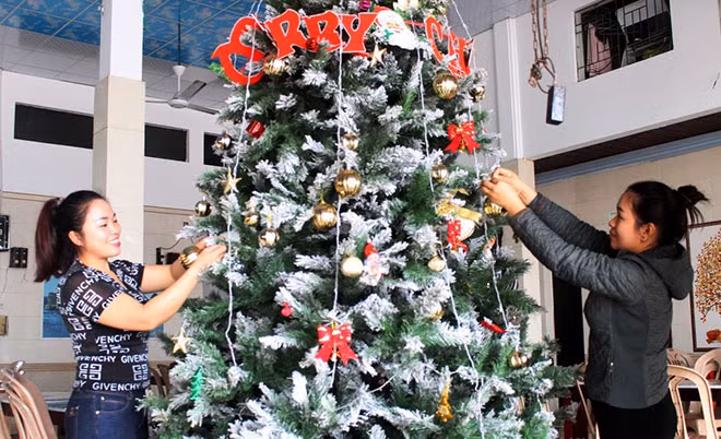 Dịch vụ trang trí cây thông Noel đắt khách mùa giáng sinh.