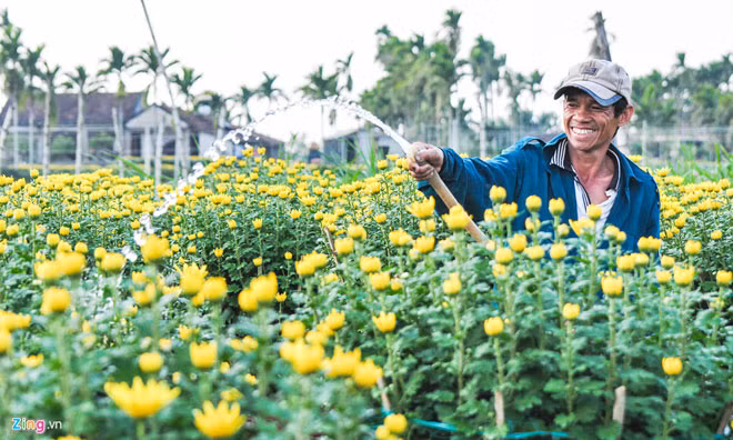 Nghệ nhân trồng hoa ở Mộ Đức.