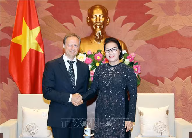 Chủ tịch Quốc hội Nguyễn Thị Kim Ngân tiếp Đại sứ, Trưởng phái đoàn EU tại Việt Nam, ông Bruno Angetlet. Ảnh: TTXVN