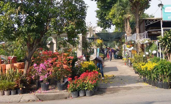 Vựa hoa Thanh Hiền ở Gò Vấp.
