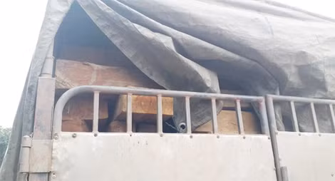 Số gỗ không giấy tờ được phủ bạt kín mít trên thùng xe.