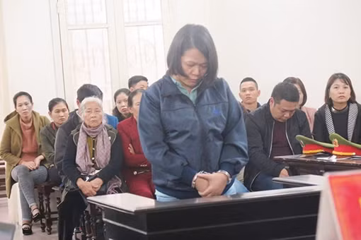 Nữ Giám đốc chiếm đoạt hơn 6,7 tỷ đồng từ lừa du học