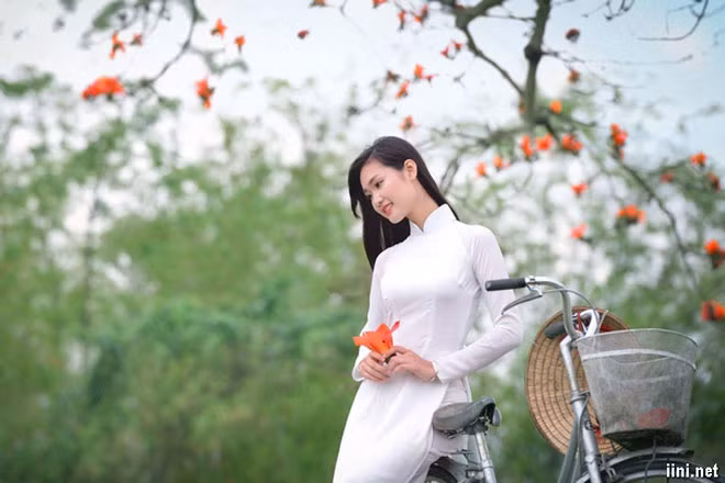 Tà áo trắng nữ sinh gợi biết bao cảm hứng trong sáng tạo văn chương và hội họa. Tà áo trắng nữ sinh gợi biết bao cảm hứng trong sáng tạo văn chương và hội họa.