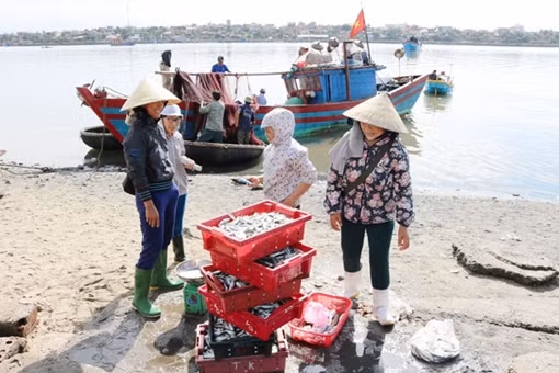 Trao tặng Hộp thuốc an sinh giúp ngư dân vươn khơi bám biển ảnh 4