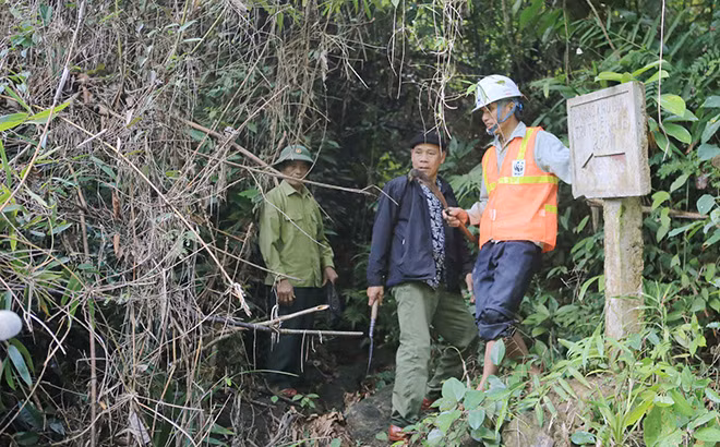 Đường vào di tích địa đạo Khu ủy Trị Thiên- Huế bị cây rừng bao phủ, không còn lối đi.