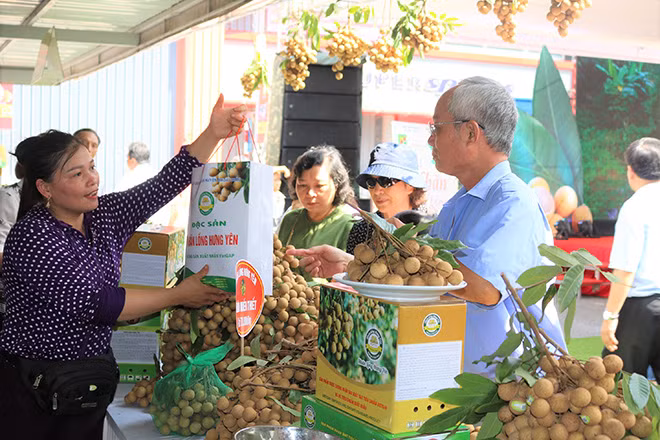 Dự báo tình hình xuất khẩu nông sản trong thời gian tới sẽ còn đối mặt với nhiều thách thức.