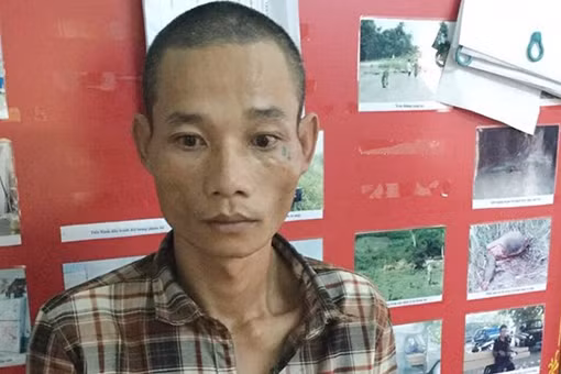 Tài xế chơi ma túy đá, chở gỗ lậu bằng xe... hết hạn lưu hành