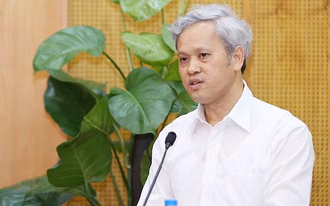 TS. Nguyễn Bích Lâm, Tổng cục trưởng Tổng cục Thống kê.