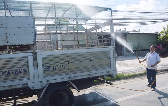 Phun thuóc tiêu độc khử trùng cho heo.