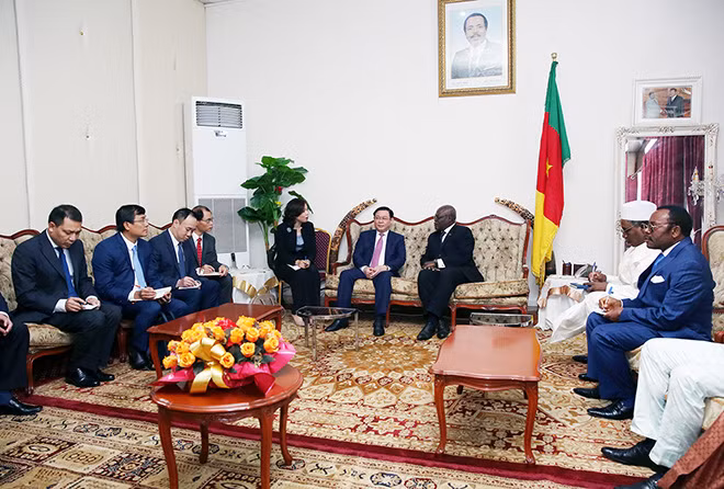Phó Thủ tướng và đoàn công tác làm việc tại Hạ viện Cameroon. Ảnh: VGP/Thành Chung