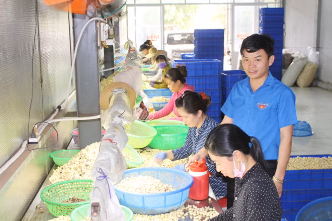 Anh Thắng động viên công nhân làm việc.
