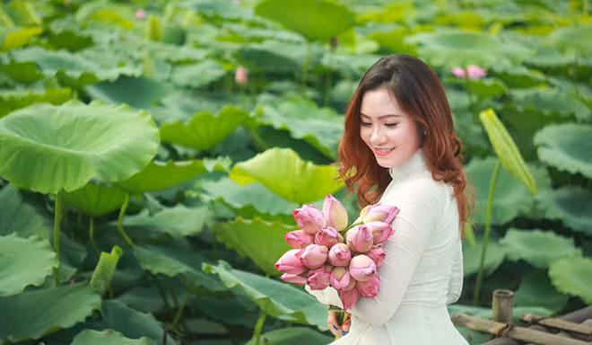 Phong trào chụp ảnh bên hoa sen ngày càng nở rộ (ảnh chỉ có tính chất minh họa).