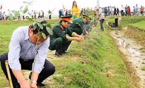 Lễ phát động trồng cây đầu xuân tại huyện Thạch Hà tỉnh Hà Tĩnh (ảnh có tính chất minh họa)
