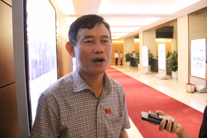 Đại biểu Nguyễn Ngọc Phương.