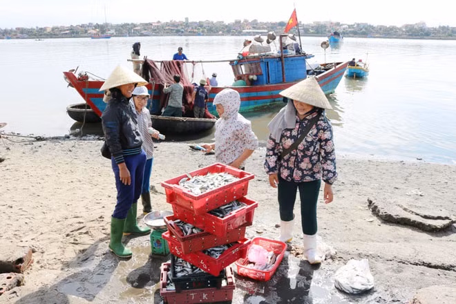 Chuyến tàu cập bờ sáng sớm của ngư dân Quảng Bình.