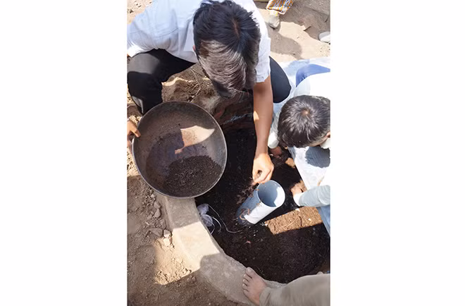 Những con giun hổ Những con giun hổ