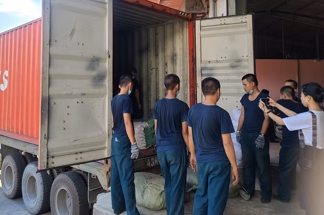 Tổng số thảo dược lên đến 103 tấn.
