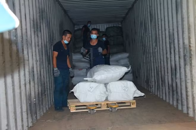 5 container nhập lậu vào cảng Đà Nẵng chứa hơn 160 loại nguyên liệu thảo dược từ Trung Quốc làm thuốc đông y.