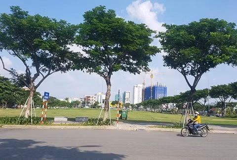 Doanh nghiệp lại thắng kiện vụ TP Đà Nẵng huỷ đấu giá lô đất vàng