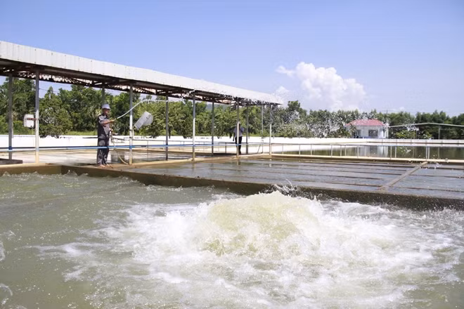 UBND TP Đà Nẵng đã quyết định việc điều chỉnh giảm giá nước sạch sinh hoạt trong thời gian diễn ra dịch bệnh COVID-19.