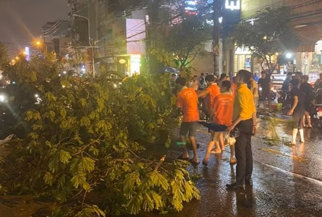 Người dân trợ giúp kéo cây ra để đưa nạn nhân ra ngoài