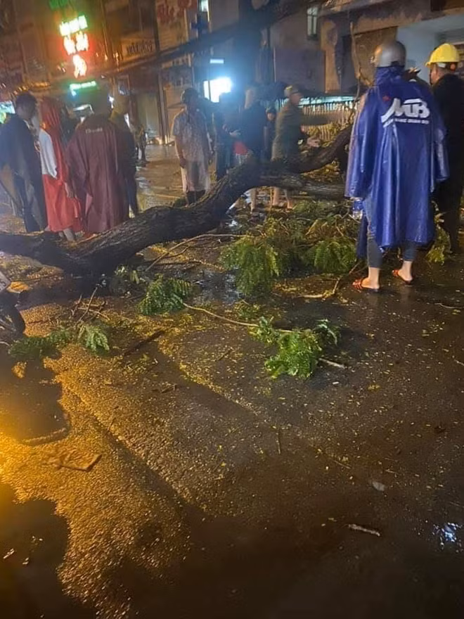 Vụ việc xảy ra trên đường Tô Hiến Thành, quận 10