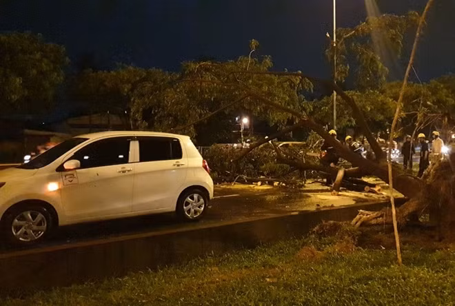 Một xe ô tô bị 2 cây xanh ngã chặn 2 đầu.