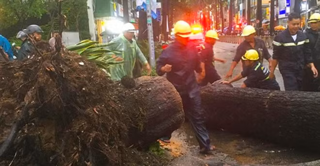 Nhân viên Công ty Công viên Cây xanh TP Hồ Chí Minh khắc phục sự cố