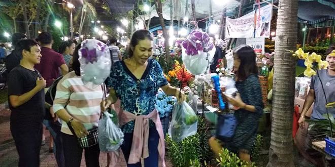 Đa phần những chậu hoa nhỏ được người mua ưa chuộng