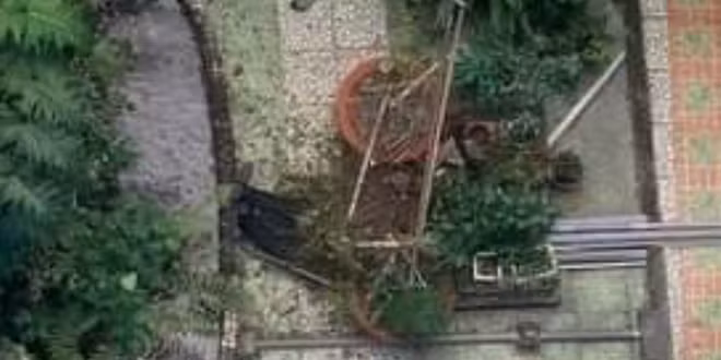Vị trí nạn nhân rơi xuống nhiều chậu cảnh bị vỡ, hư hỏng.