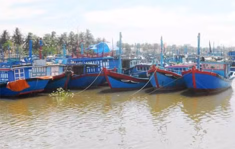 Tàu cá neo đậu tránh trú bão tại cảng Tam Quan (huyện Hoài Nhơn).