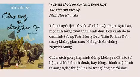 Bìa và phần giới thiệu cuốn sách "Chim ưng và chàng đan sọt".