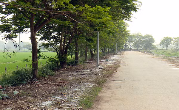 Hiện ven đường thôn Cổ Điển đã được dọn sạch phế phẩm giết mổ gia súc và rắc vôi bột khử trùng.