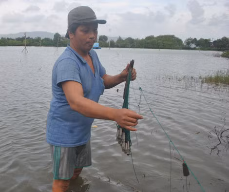 Anh Bảy giăng câu kiều trên sông Côn.