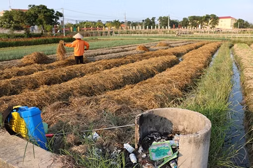 Hiểm họa âm thầm từ bao vỏ thuốc bảo vệ thực vật ảnh 1