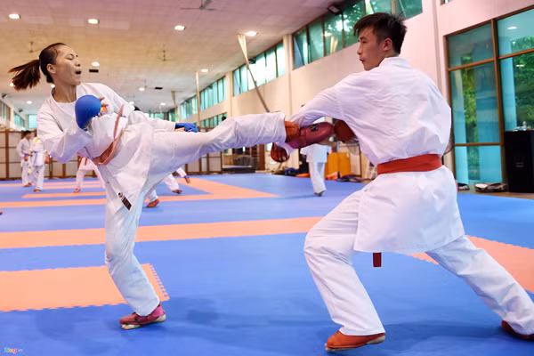 Các võ sĩ ở đội tuyển Karatedo quốc gia và các đội tuyển khác cần được chú trọng đầu tư hơn nữa về thiết bị tập luyện.