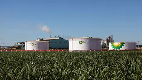 Một chi nhánh sản xuất ethanol từ mía của hãng BP tại Brazil. Ảnh: BP. Một chi nhánh sản xuất ethanol từ mía của hãng BP tại Brazil. Ảnh: BP.