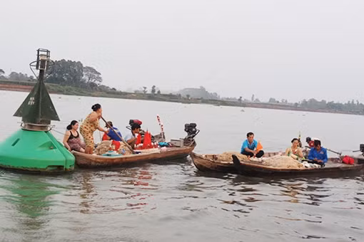 Ngư dân An Giang, Đồng Tháp vào “mùa” săn cá bông lau