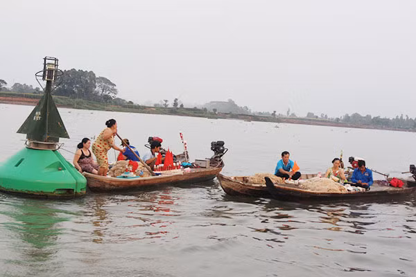 Nhóm ngư dân săn cá bông lau trên sông Tiền.