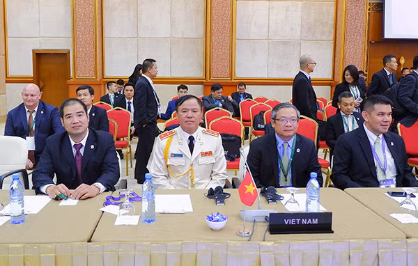 Đoàn Việt Nam tại Phiên toàn thể.