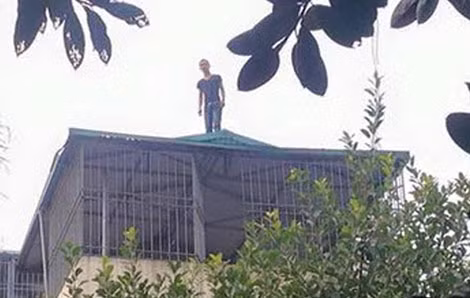 Leo lên mái nhà, cột điện… là những hành động dễ bắt gặp của những đối tượng “ngáo” đá. Leo lên mái nhà, cột điện… là những hành động dễ bắt gặp của những đối tượng “ngáo” đá.