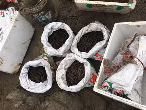Một tuần sau khi vụ nổ xảy ra, vẫn còn hàng trăm kg đầu đạn được thu nhặt tại hiện trường.