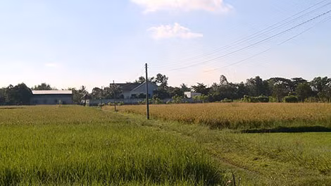 Ngôi biệt thự nằm giữa cánh đồng vắng.
