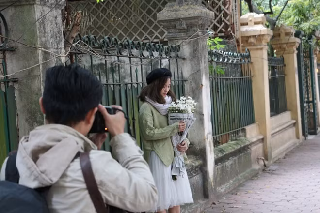 Một bộ ảnh với cúc họa mi trong cái lạnh của mùa đông là điều rất nhiều bạn trẻ muốn thực hiện trong những ngày gần đây.