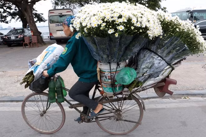 Những bông cúc bé nhỏ nhưng mang thật nhiều ý nghĩa với những người yêu chúng nói riêng và yêu Hà Nội nói chung.