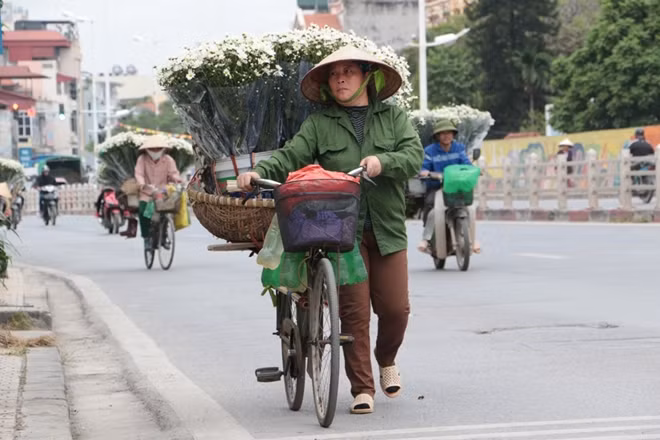 Những chiếc xe chở hoa nối đuôi nhau len lỏi vào các khu vực nội thành.