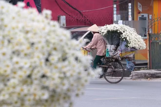 Những chiếc xe chở hoa nối đuôi nhau len lỏi vào các khu vực nội thành.