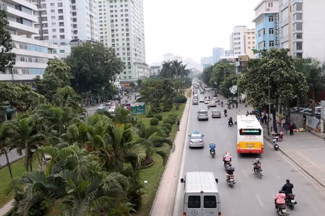 Dự kiến, việc xén cây trên tuyến đường này sẽ được hoàn thành trước tết Nguyên Đán 2018.